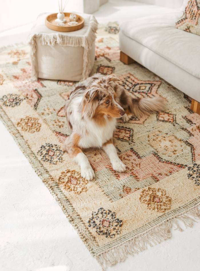 Pastel Jute Rug | Sneh