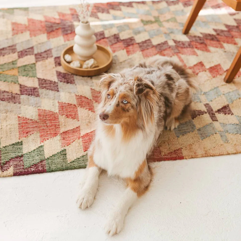 Geometric Jute Rug | Shrey
