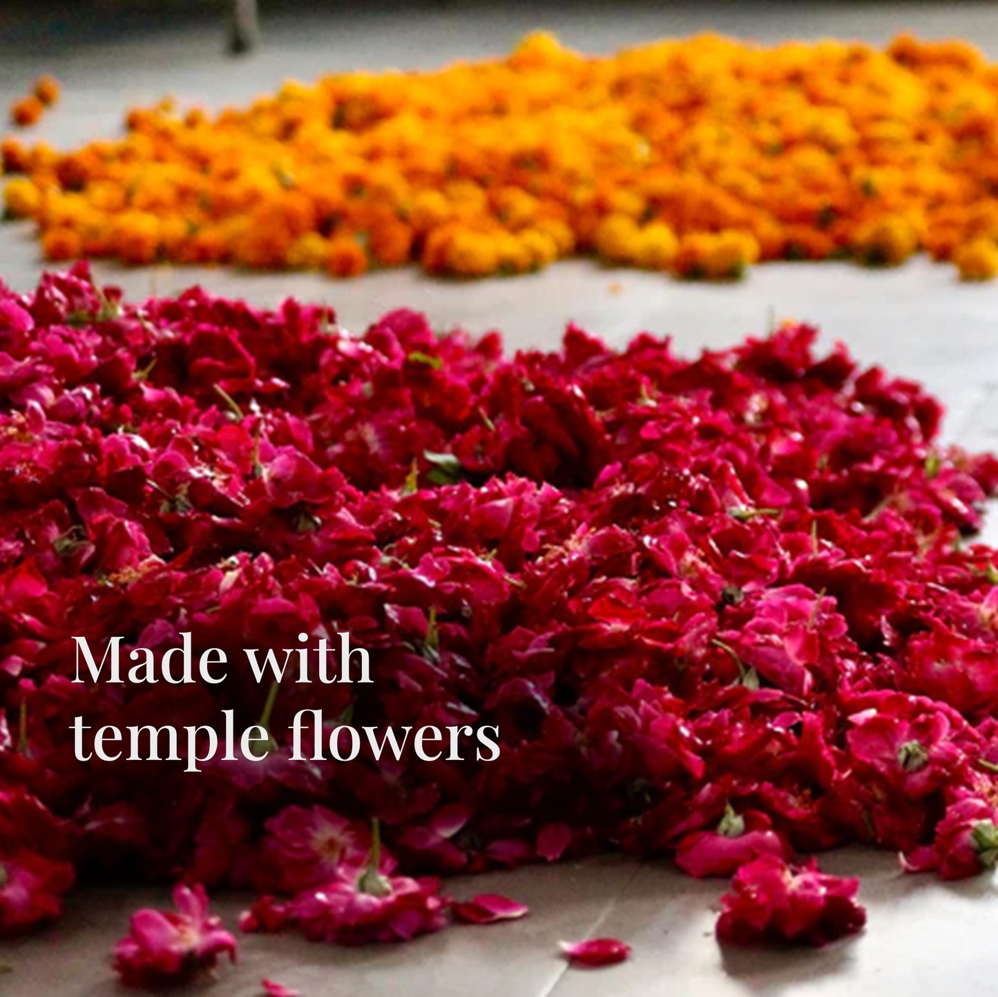 Sustainable Holi Gulal made by recycling sacred temple flowers into vibrant, natural Phagwa colors. A circular economy product.